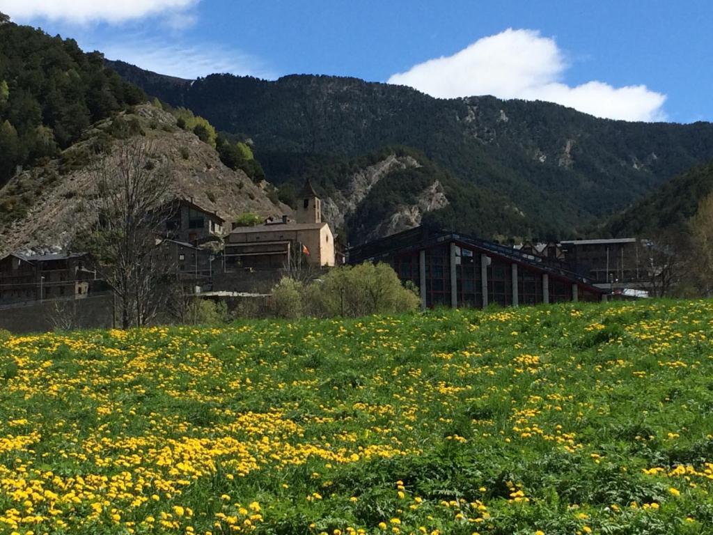 Hotel Ordino Cameră foto